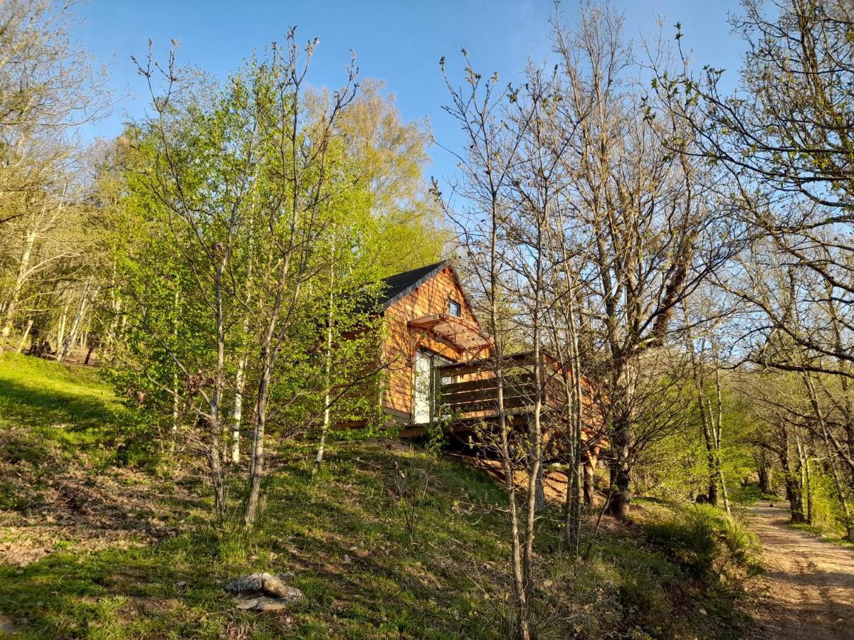 Mon chalet au cœur des Cévennes Vebron Exterior foto